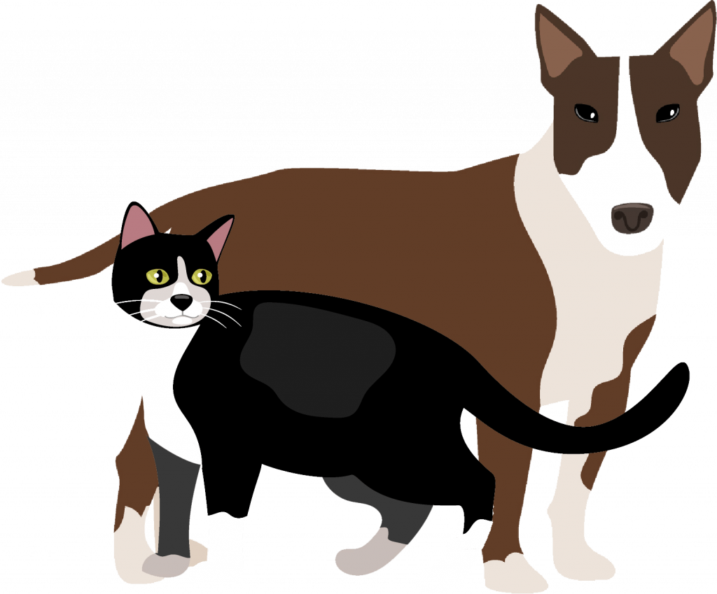 Hund und Katze Wurzeln